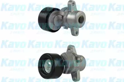 KAVO PARTS DTP-6550