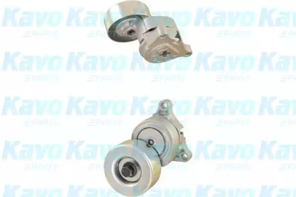 KAVO PARTS DTP-8001