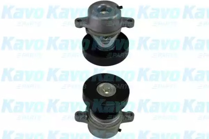 KAVO PARTS DTP-8503