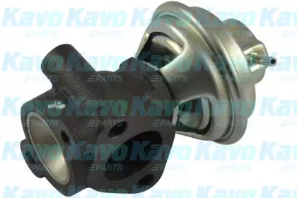 KAVO PARTS EEG-3016