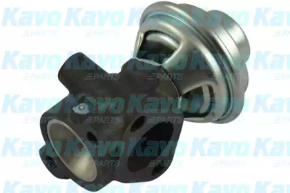 KAVO PARTS EEG-3019