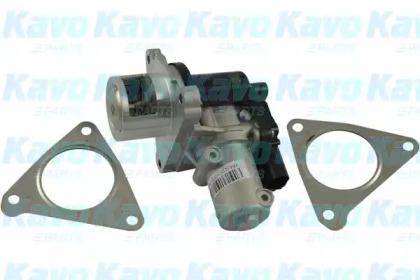 KAVO PARTS EEG-3021