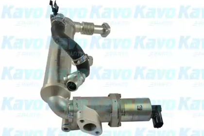 KAVO PARTS EEG-3031