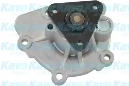 KAVO PARTS KW-1631