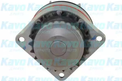 KAVO PARTS NW-1244