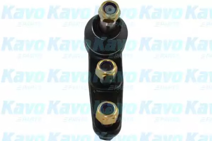 KAVO PARTS SBJ-1001