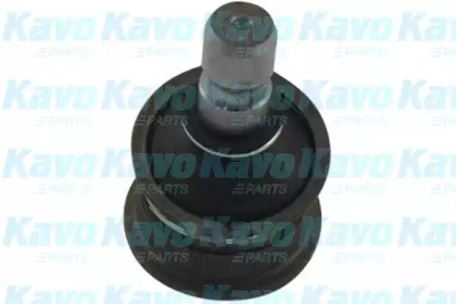 KAVO PARTS SBJ-4007