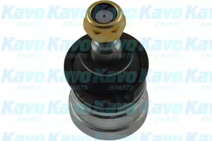 KAVO PARTS SBJ-5501