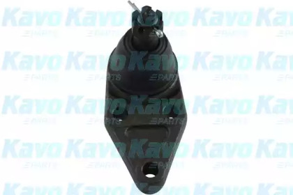 KAVO PARTS SBJ-5528