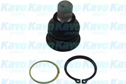 KAVO PARTS SBJ-6541