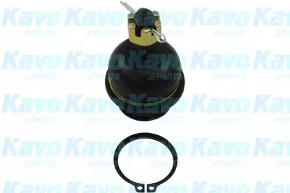 KAVO PARTS SBJ-6555