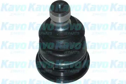 KAVO PARTS SBJ-7501