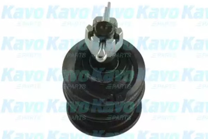 KAVO PARTS SBJ-9065