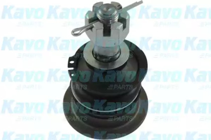 KAVO PARTS SBJ-9066