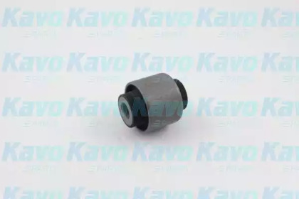 KAVO PARTS SCR-2051