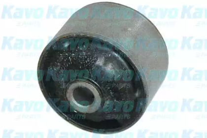 KAVO PARTS SCR-3016