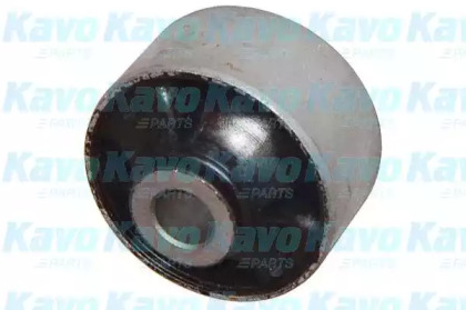 KAVO PARTS SCR-3044