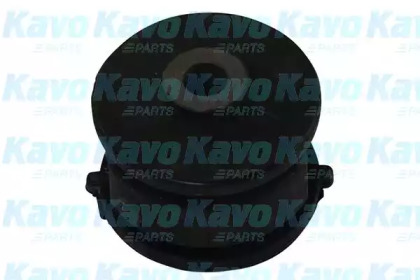 KAVO PARTS SCR-3080