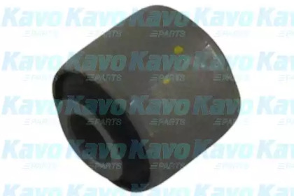 KAVO PARTS SCR-3148