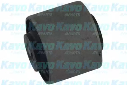 KAVO PARTS SCR-5536