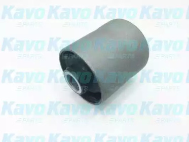 KAVO PARTS SCR-5555