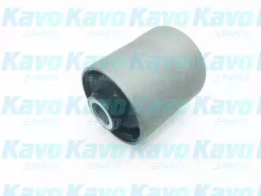 KAVO PARTS SCR-5556