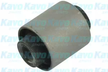 KAVO PARTS SCR-5582