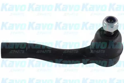 KAVO PARTS STE-1004