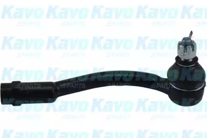 KAVO PARTS STE-2021