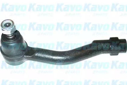 KAVO PARTS STE-3010