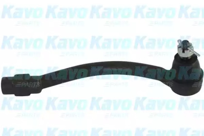 KAVO PARTS STE-3048