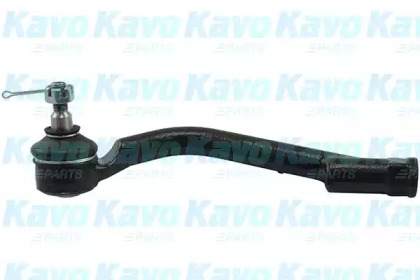 KAVO PARTS STE-3066