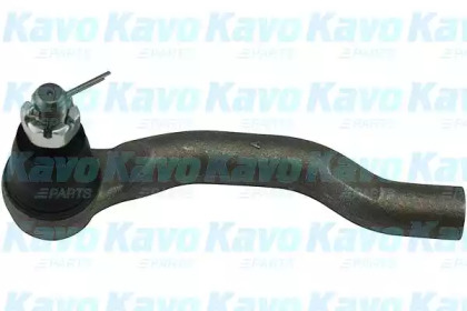 KAVO PARTS STE-6604