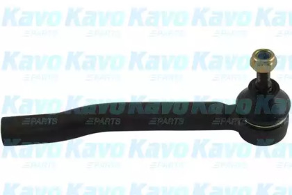 KAVO PARTS STE-6631