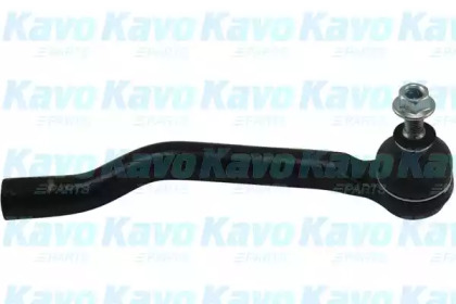 KAVO PARTS STE-6656