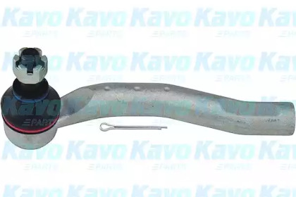 KAVO PARTS STE-9006