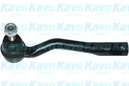 KAVO PARTS STE9013