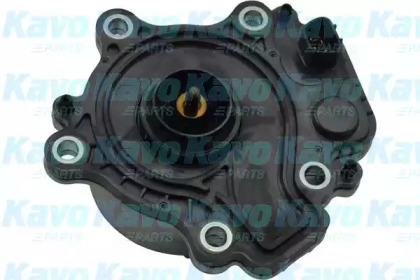 KAVO PARTS TW-6001E