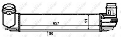 NRF 30481