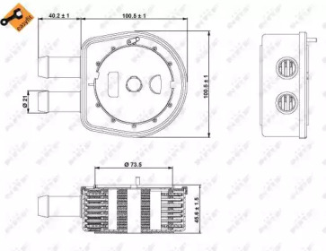 NRF 31236