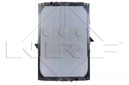 nrf 509541
