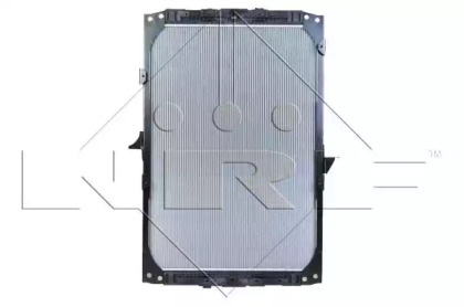 nrf 509541