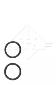 nrf 519504