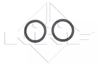 nrf 539504