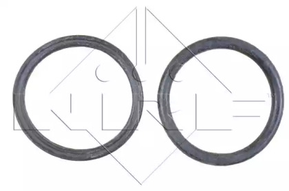 nrf 58303