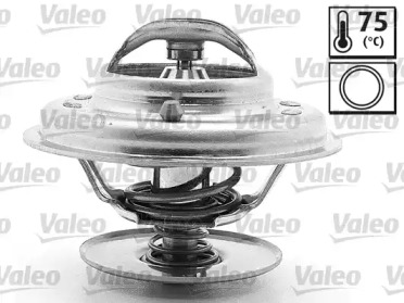 VALEO 819870