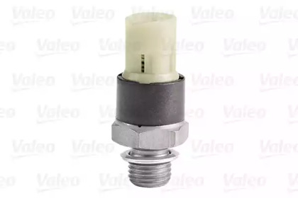 valeo 255106