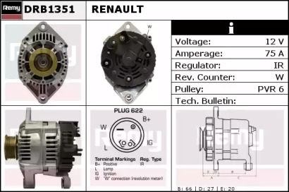 REMY DRB1351