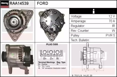 REMY RAA14539