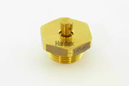 HALDEX 315019021